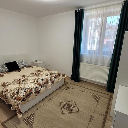 Andy Apartament 彼得罗沙尼 外观 照片