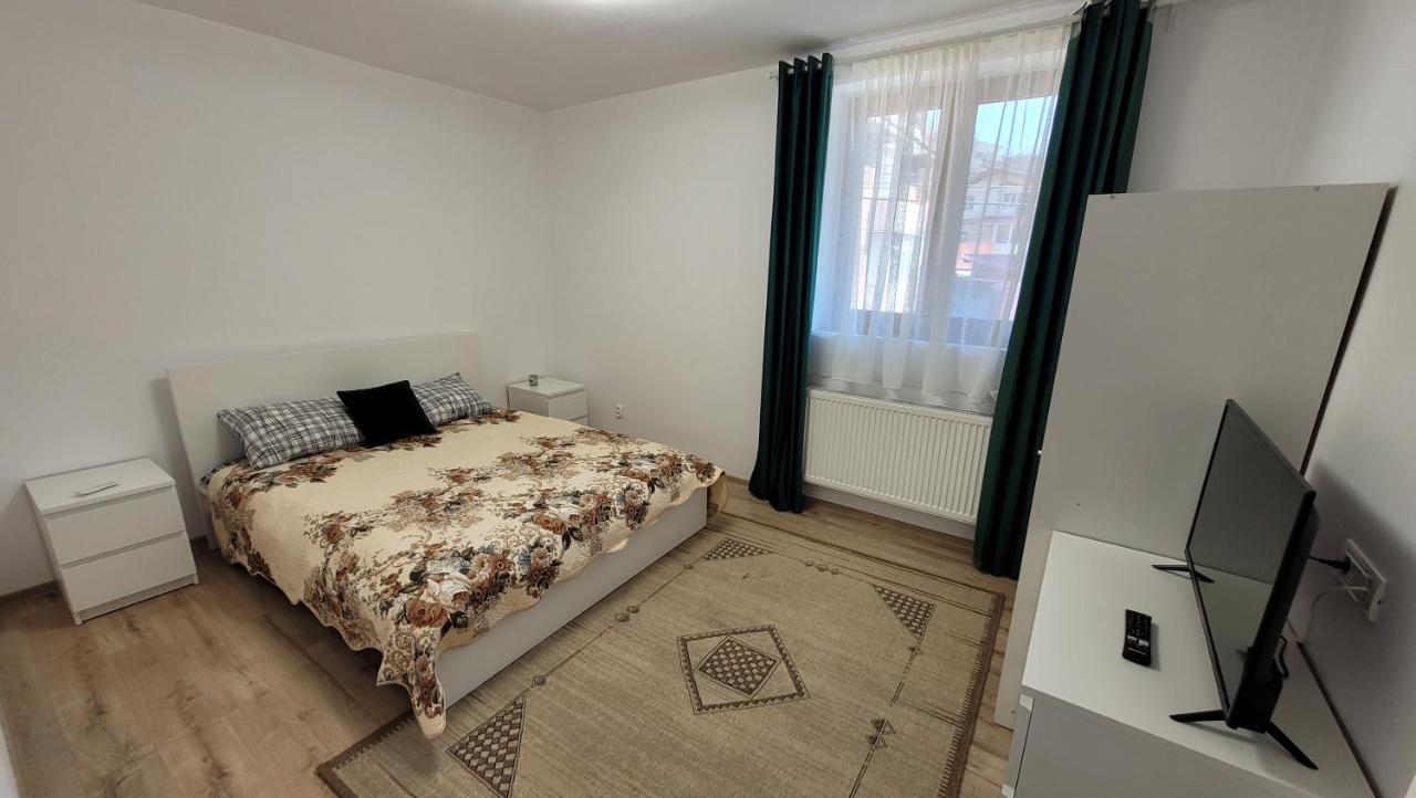 Andy Apartament 彼得罗沙尼 外观 照片